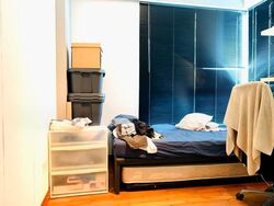 Gardenvista (D21), Condominium #589873831